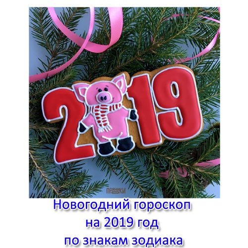 Новогодний гороскоп на 2019 год по знакам зодиака: шуточный гороскоп